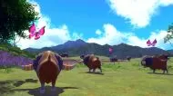New Pokemon Snap [Nintendo Switch]