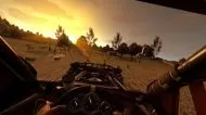 Dying Light: Platinum Edition  [NINTENDO SWITCH]