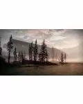 Destiny 2 [PS4]