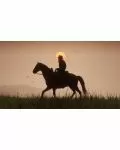 Red Dead Redemption 2 [PS4]