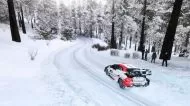 WRC Generations [Nintendo Switch]