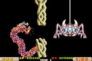 Irem Collection Volume 3  [PS5]
