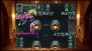 Castlevania Anniversary Collection [PS4]