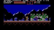 Castlevania Anniversary Collection [PS4]