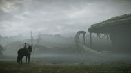 Shadow Of Colossus [PS4]