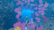 Endless Ocean Luminous [Nintendo Switch]