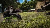 ARK: Survival Evolved [PS4]